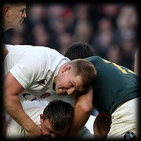 Dylan Hartley England Springboks 2014
